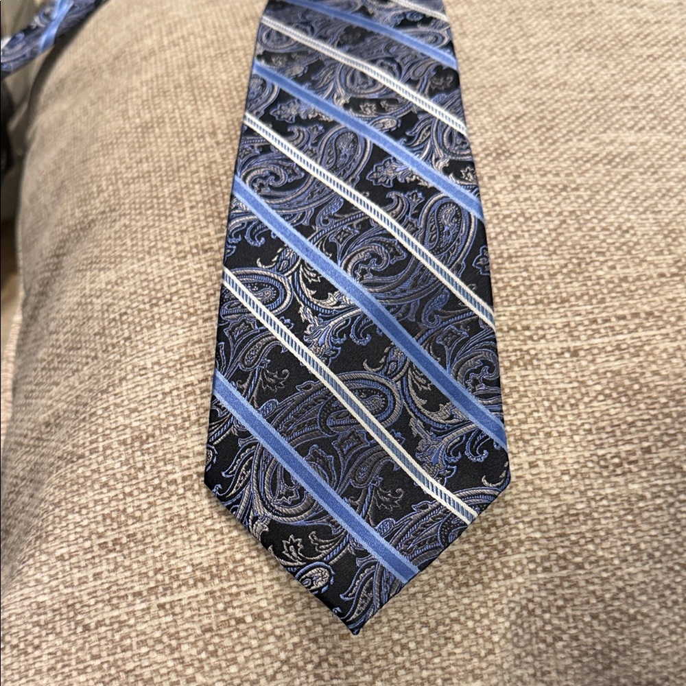 Plantinum Designs Elegant Blue and Black Paisley Tie